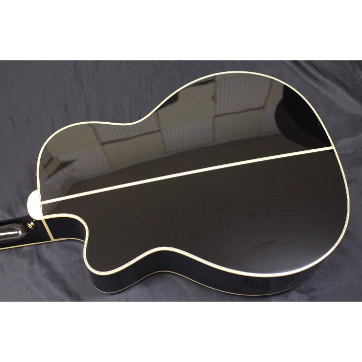 Takamine 【現品限り・新品】Takamine(タカミネ) / TDP752C BL 700