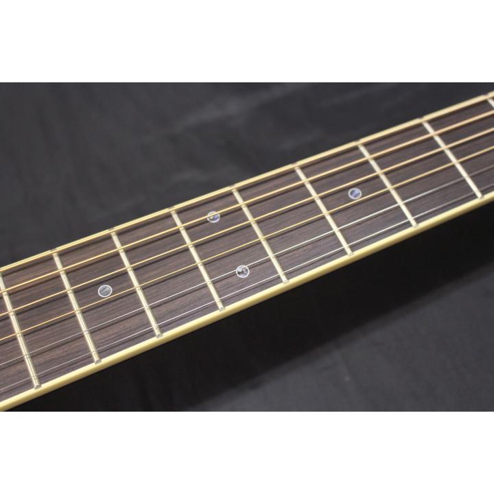 Takamine 【現品限り・新品】Takamine(タカミネ) / TDP752C BL 700