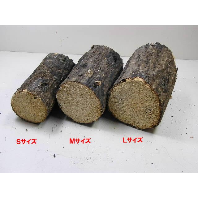 産卵一番　8つ 481f8916d354246c9cd6e9cfe2b842