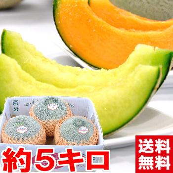 茨城県鉾田産 超大玉メロン 優品4Lサイズ 4.5kg（3個）｜muskmelon