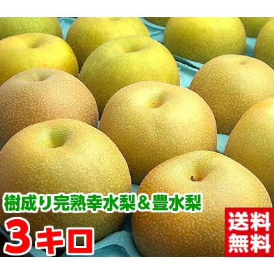 樹成り完熟幸水梨 国内最安値に挑戦 豊水梨3kg