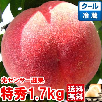 （冷蔵便）お中元 ギフト 山梨県産プレミアム完熟もも 特秀1.6ｋｇ | 
