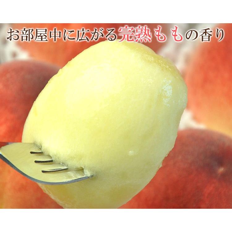 （冷蔵便）お中元 ギフト 山梨県産プレミアム完熟もも 特秀1.6ｋｇ |  | 03
