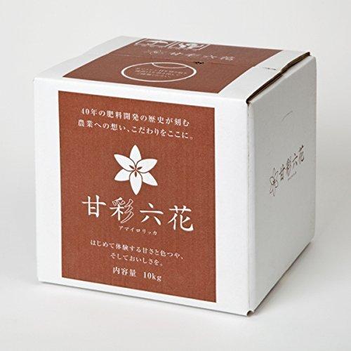 値下げ3サルバドール・ダリ グアダルーペの聖母マリア 279／300 【公式