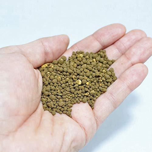 円 印象のデザイン コケのインテリア コケリウム 用土 テラリウム 苔盆栽 底砂 コケリウム専用ソイル ブラウン ビック