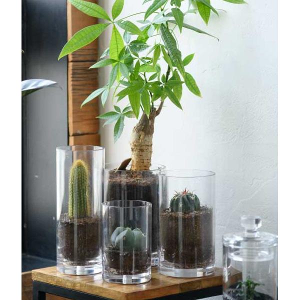 フラワーベース 花瓶 おしゃれ 割れない ガラス φ25×H80 PVシリンダー