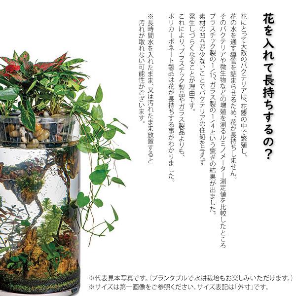 φ30×H35　ポリカーボネート製　フラワーベース　大型花瓶　割れないガラス フラワーベース 花瓶 おしゃれ 割れない ガラス φ30×H35 PVシリンダー