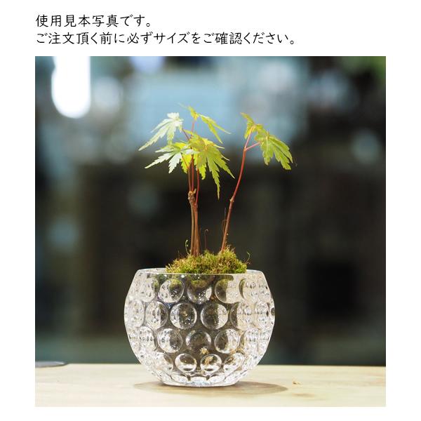 苔玉 フラワーベース 花瓶 おしゃれ 割れない ガラス 10.5×H8 PV