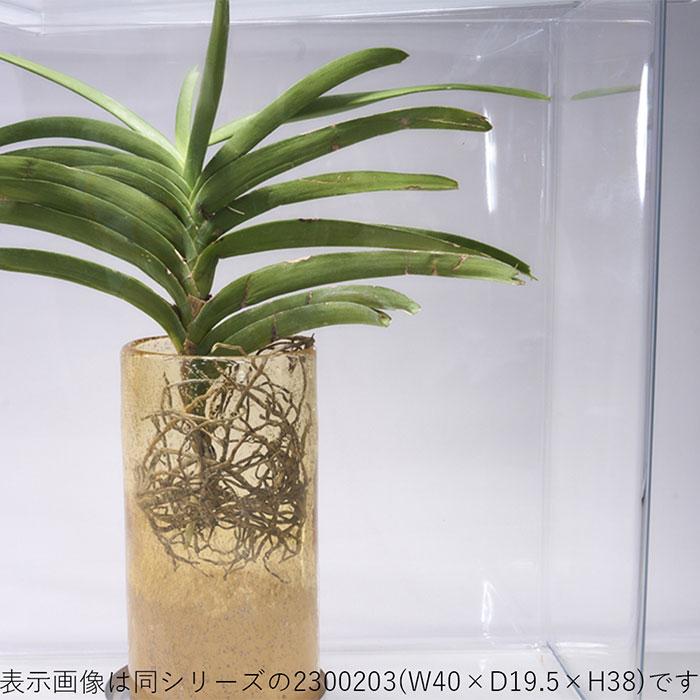 透明 ケース フタ付 40×40×45cm アクリルより丈夫 大きい ディスプレイ