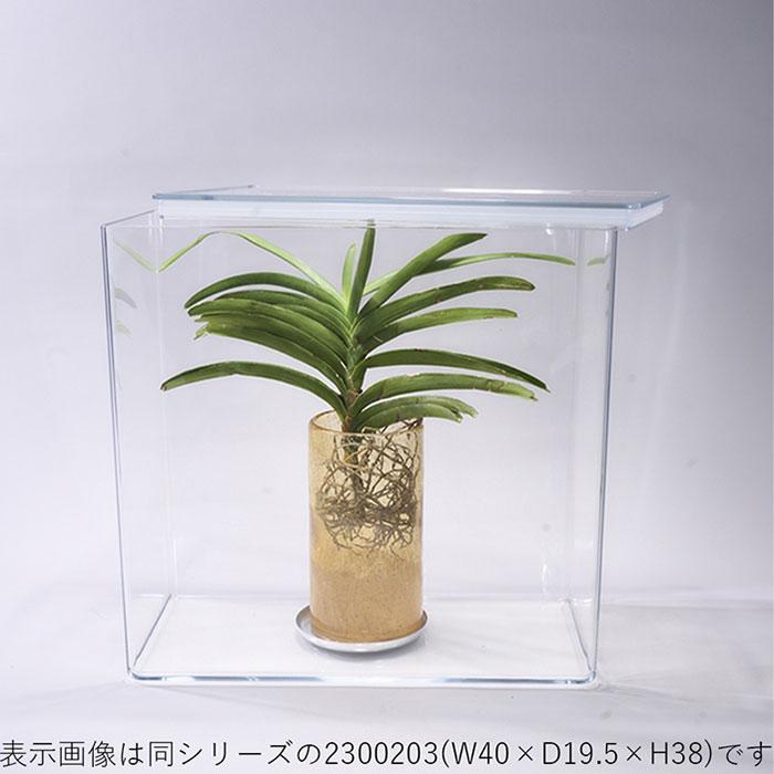 透明 ケース フタ付 W60×D32×H40 アクリルより丈夫 大きい
