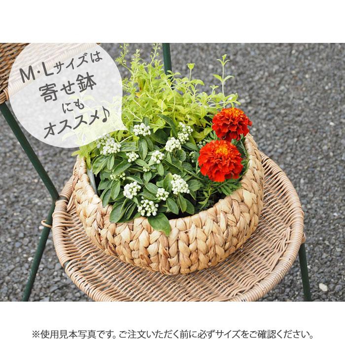 かご バスケット M 鉢カバー フラワーアレンジメント 浅型 アミアミ丸