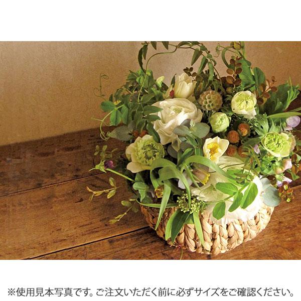 かご バスケット M 鉢カバー フラワーアレンジメント 浅型 アミアミ丸