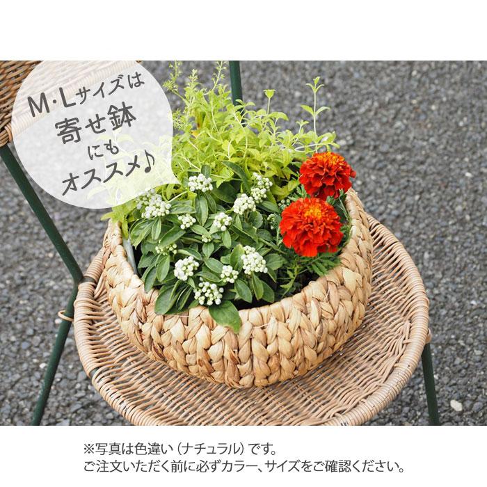 かご バスケット M ホワイト 鉢カバー フラワーアレンジメント 浅型