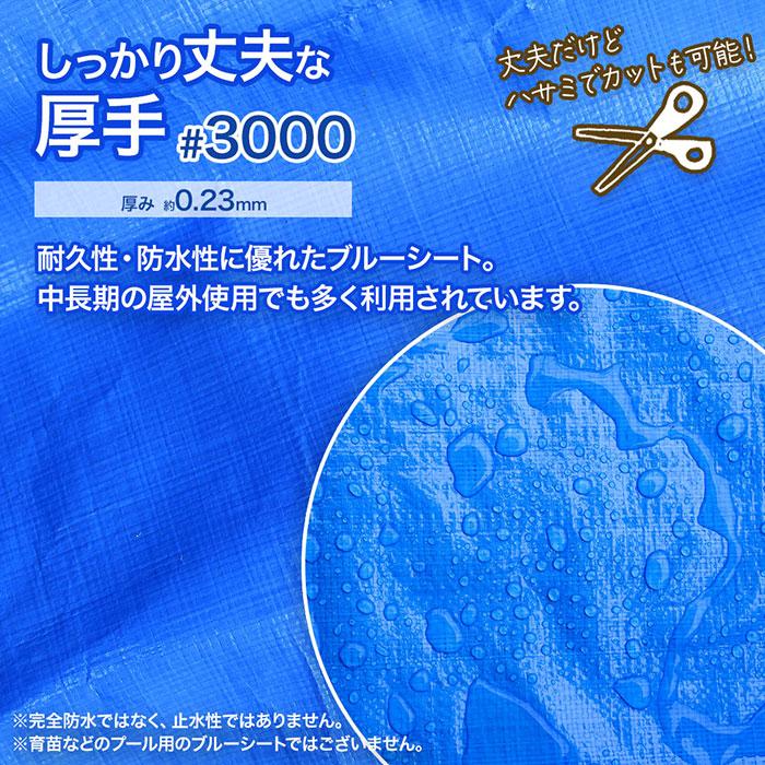 ブルーシート 3000 厚手 防水 ハトメ 1枚 10.0m×20.0m 大判サイズ 10m
