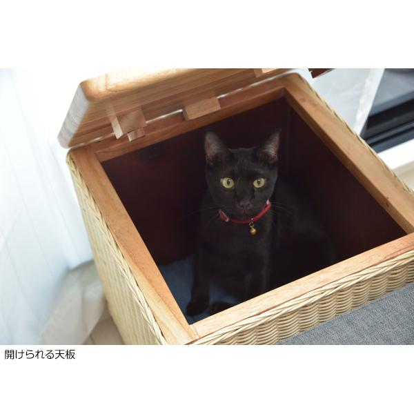東谷 猫 ベッド ペットベッド ハウス 籐 ラタン かわいい 幅40 東谷 猫 ベッド ペットベッド ハウス 籐 ラタン かわいい 幅40