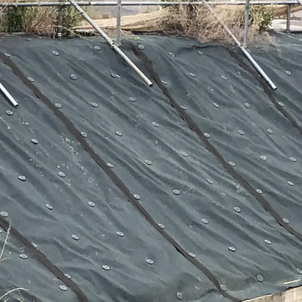 ワッシャー 80φ 600枚 防草シート固定用 押さえ OTS : MUSTショップ