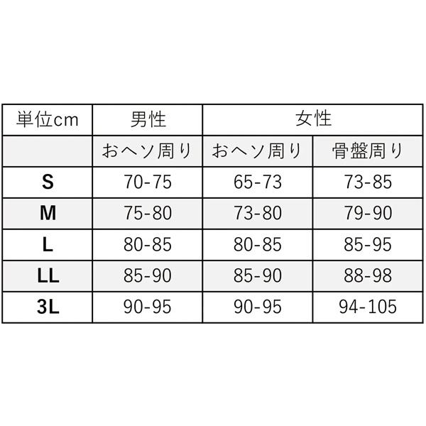パワーアシストスーツ パワースーツ 腰 背中 作業用 サポーター ベスト
