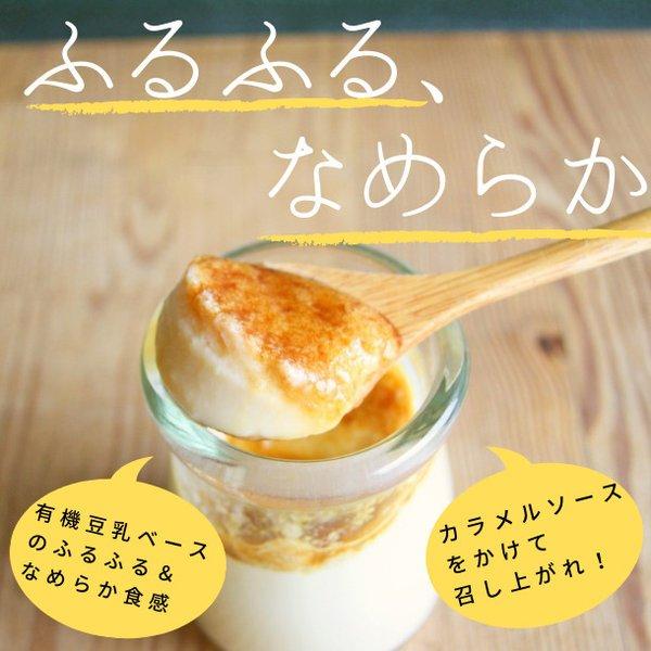 有機豆乳プリン（プレーン３個、チョコ３個） バレンタイン 卵不使用 グルテンフリー 乳不使用 白砂糖不使用 アレルギー対応 プレゼント ヴィーガン ギフト