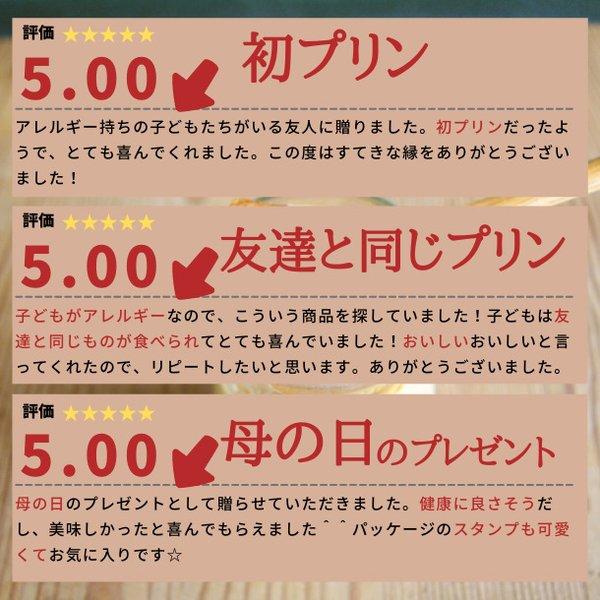 有機豆乳プリン（プレーン３個、チョコ３個） バレンタイン 卵不使用 グルテンフリー 乳不使用 白砂糖不使用 アレルギー対応 プレゼント ヴィーガン ギフト