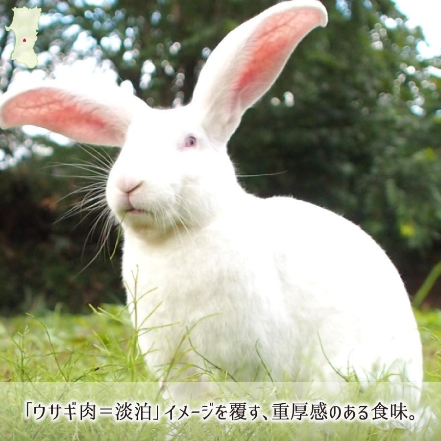受賞店舗 ジャンボウサギ 小型 2羽 生肉 正肉 約2 2kg もつ 約140g 秋田県大仙市産 むね もも うで はら ハツ レバー タン 腎臓 国産 兎 ラパン 送料無料 高質で安価 Blog Lonolife Com