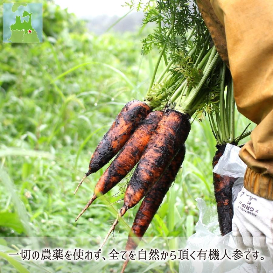 有機jas人参 訳あり 5kg 無農薬 無化学肥料 有機栽培 青森県八戸市南郷産 にんじん 送料無料 Amnn101 産直 むすび 通販 Yahoo ショッピング