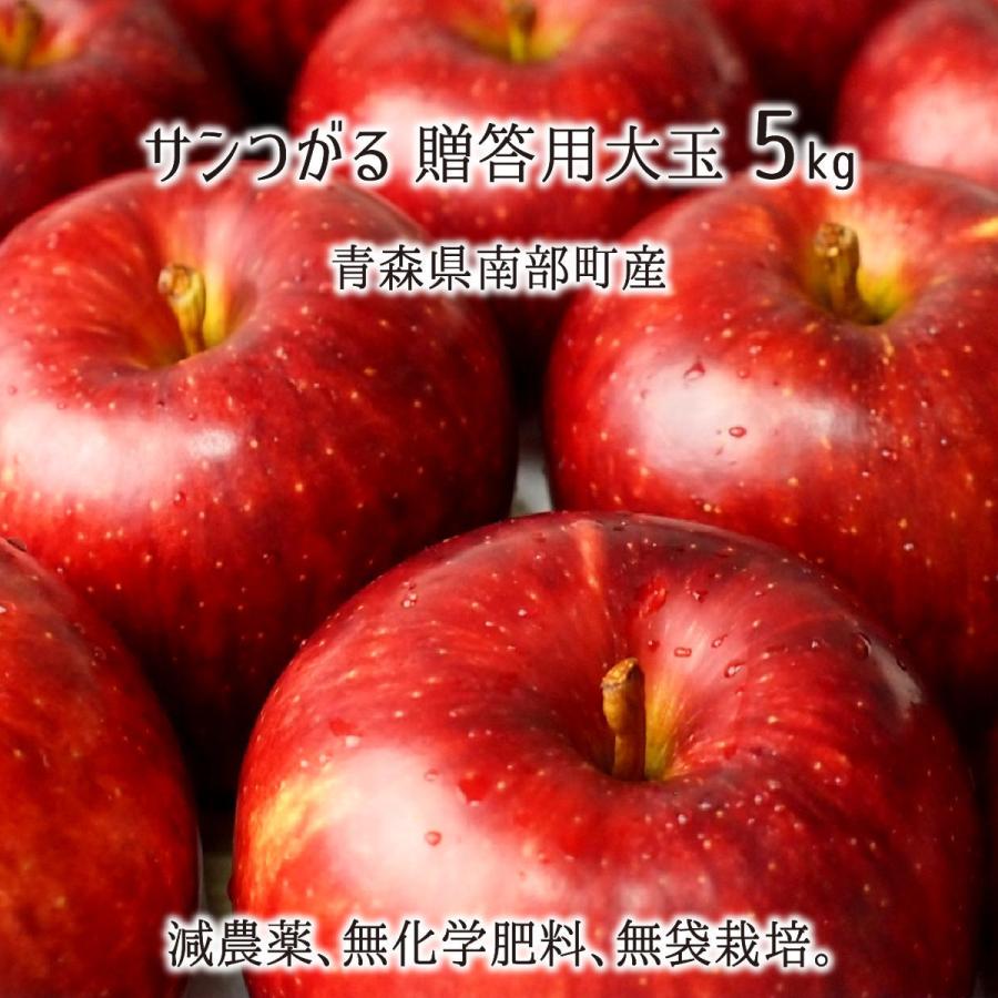 サンつがる 秀品 大玉 5kg 減農薬 無化学肥料 青森県南部町産 りんご 贈答用 13〜16玉 9月下旬〜10月中旬 送料無料｜musubi-ichiba