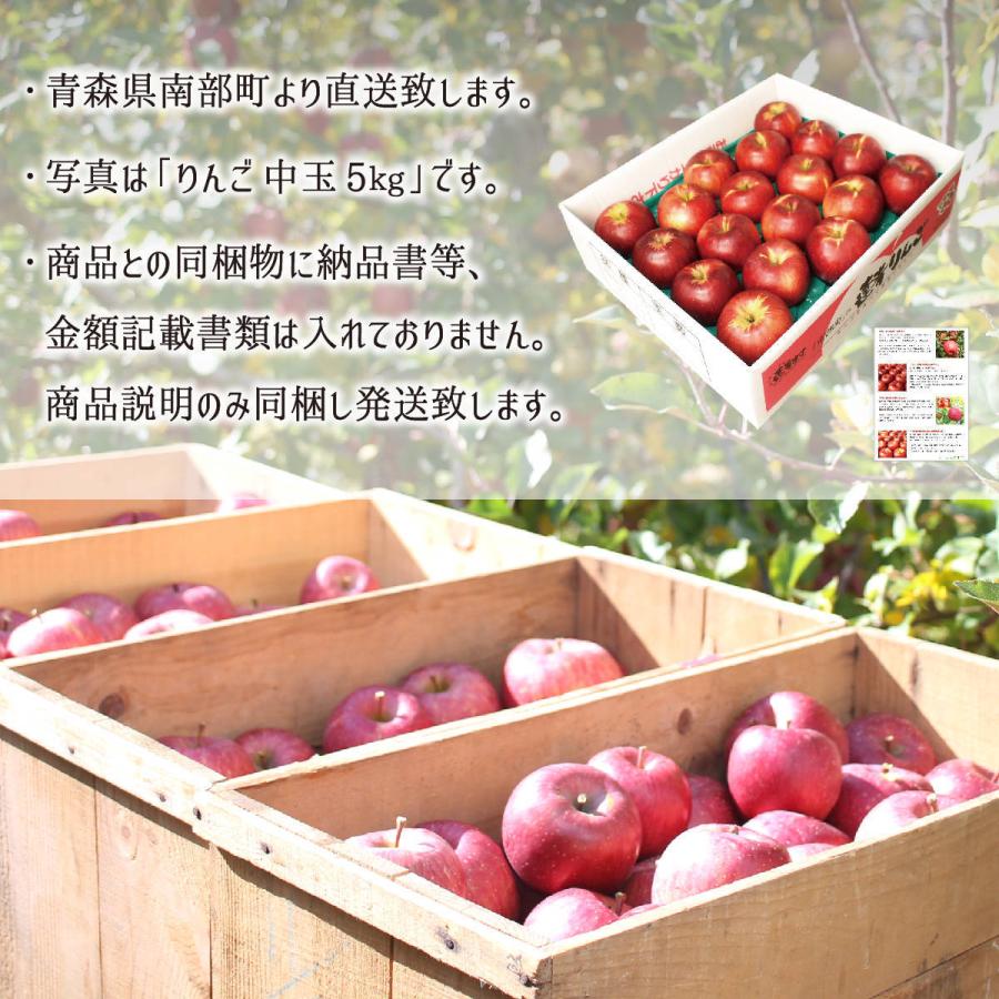サンつがる 訳あり 10kg 減農薬 無化学肥料 青森県南部町産