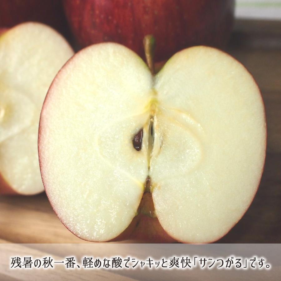 サンつがる 訳あり 10kg 減農薬 無化学肥料 青森県南部町産 りんご