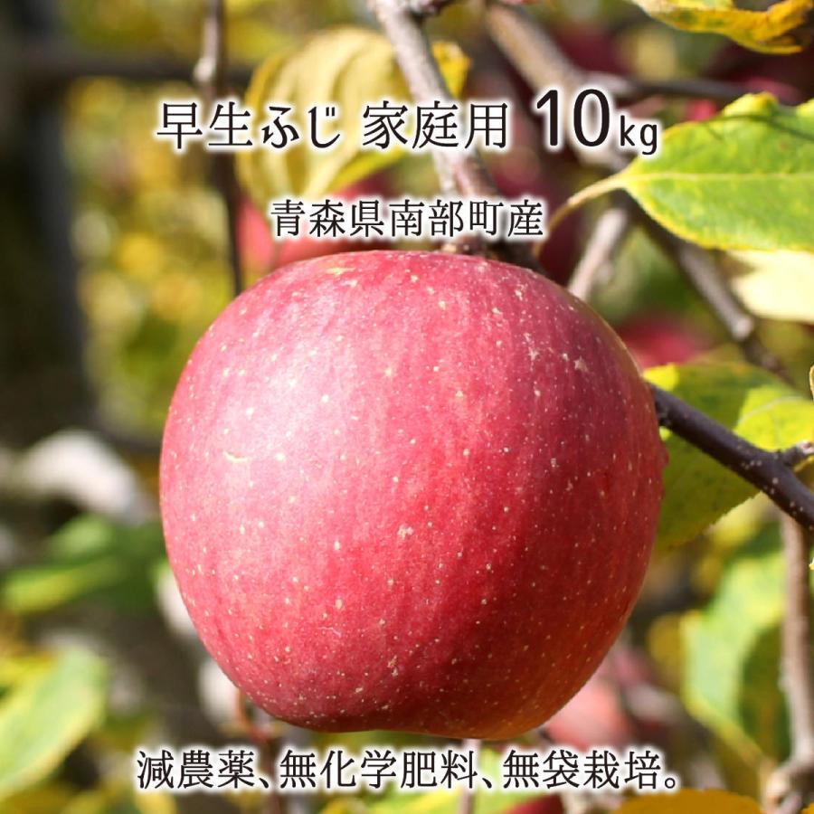 青森県産農薬不使用早生早生フジりんご10キロ送料無料 青森りんご☆送料無料☆訳あり早生ふじ10キロ28〜40玉 発送は10月10