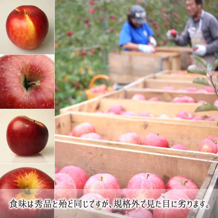 青森県産農薬不使用早生早生フジりんご10キロ送料無料 早生ふじ 訳あり 10kg 減農薬 無化学肥料 青森県南部町産 りんご 家庭