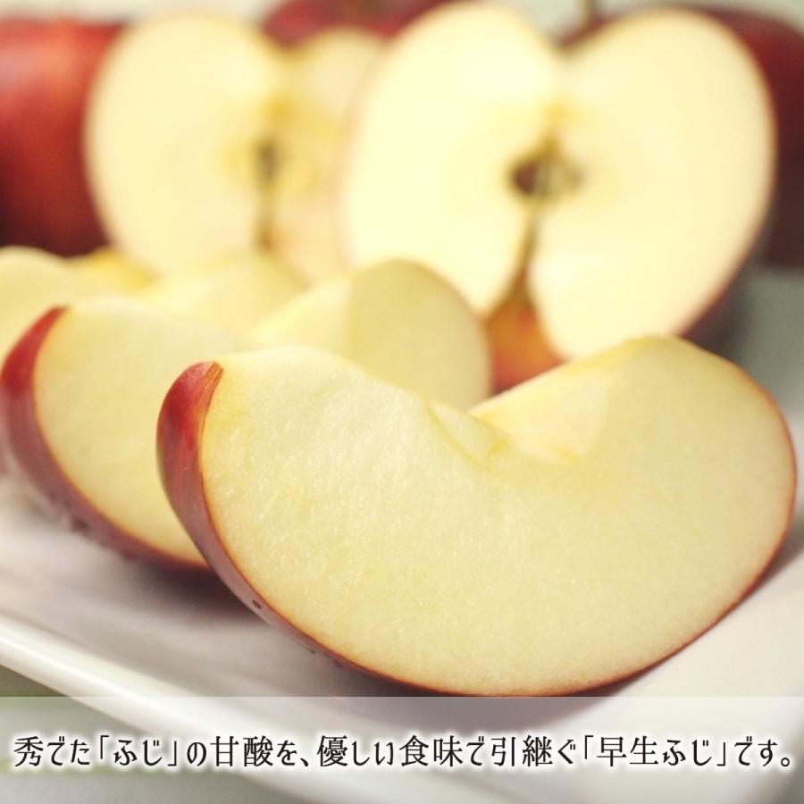 青森県産農薬不使用早生早生フジりんご10キロ送料無料 早生ふじ 訳あり 10kg 減農薬 無化学肥料 青森県南部町産 りんご 家庭