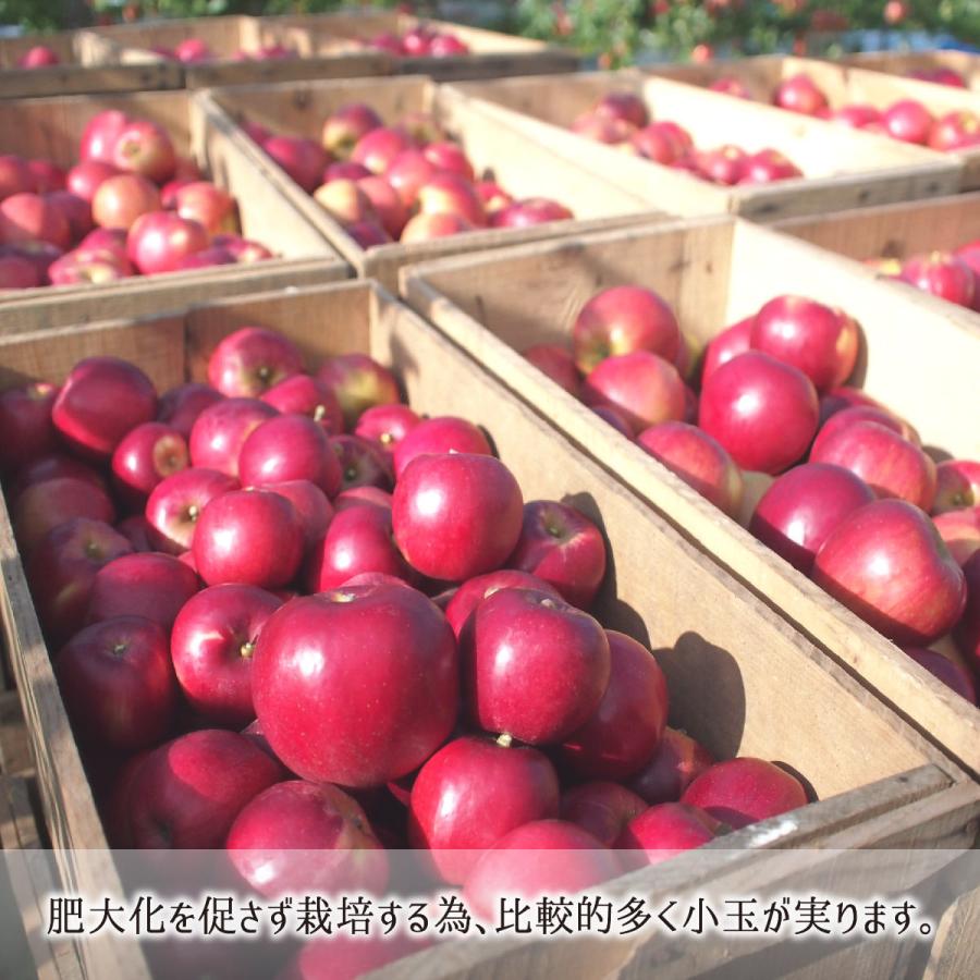 紅玉 スマートフレッシュ 秀品・訳あり混載(小玉) 4.5kg 減農薬 無化学肥料 青森県南部町産 りんご 家庭用 28〜30玉 1月中旬〜2月下旬 送料無料 :amyf161:産直 むすび - 通販 - Yahoo!ショッピング 紅玉 スマートフレッシュ 秀品・訳あり混載(小玉) 4.5kg 減農薬 無化学肥料 青森県南部町産 りんご 家庭用 28〜30玉 1月中旬〜2月下旬 送料無料 :amyf161:産直 むすび - 通販 - Yahoo!ショッピング