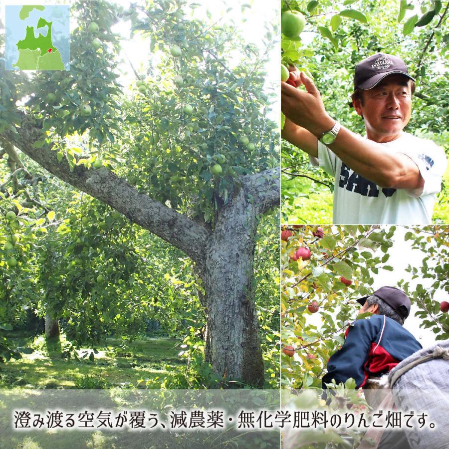 紅玉 スマートフレッシュ 秀品・訳あり混載(小玉) 4.5kg 減農薬 無化学肥料 青森県南部町産 りんご 家庭用 28〜30玉 1月中旬〜2月下旬 送料無料 :amyf161:産直 むすび - 通販 - Yahoo!ショッピング 紅玉 スマートフレッシュ 秀品・訳あり混載(小玉) 4.5kg 減農薬 無化学肥料 青森県南部町産 りんご 家庭用 28〜30玉 1月中旬〜2月下旬 送料無料 :amyf161:産直 むすび - 通販 - Yahoo!ショッピング