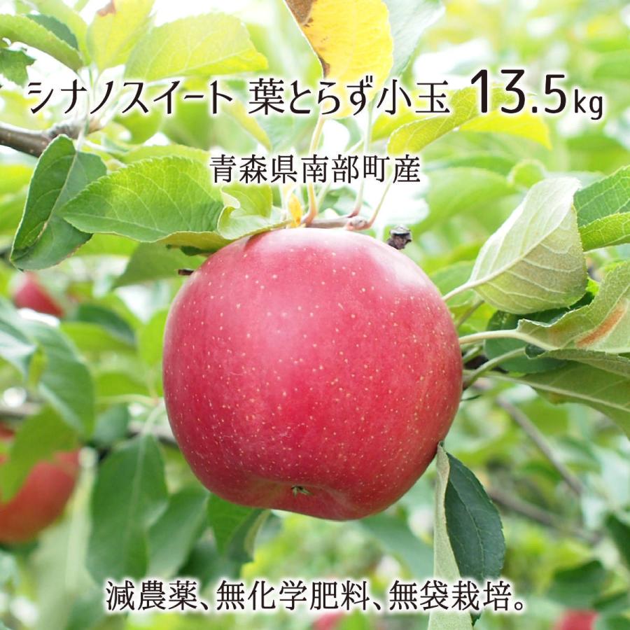 秋田県かづの産　葉とらずシナノスイート　ご家庭用　５Ｋ×２ 葉とらずりんご シナノスイート【秀選・家庭用】5kg(約16-20個