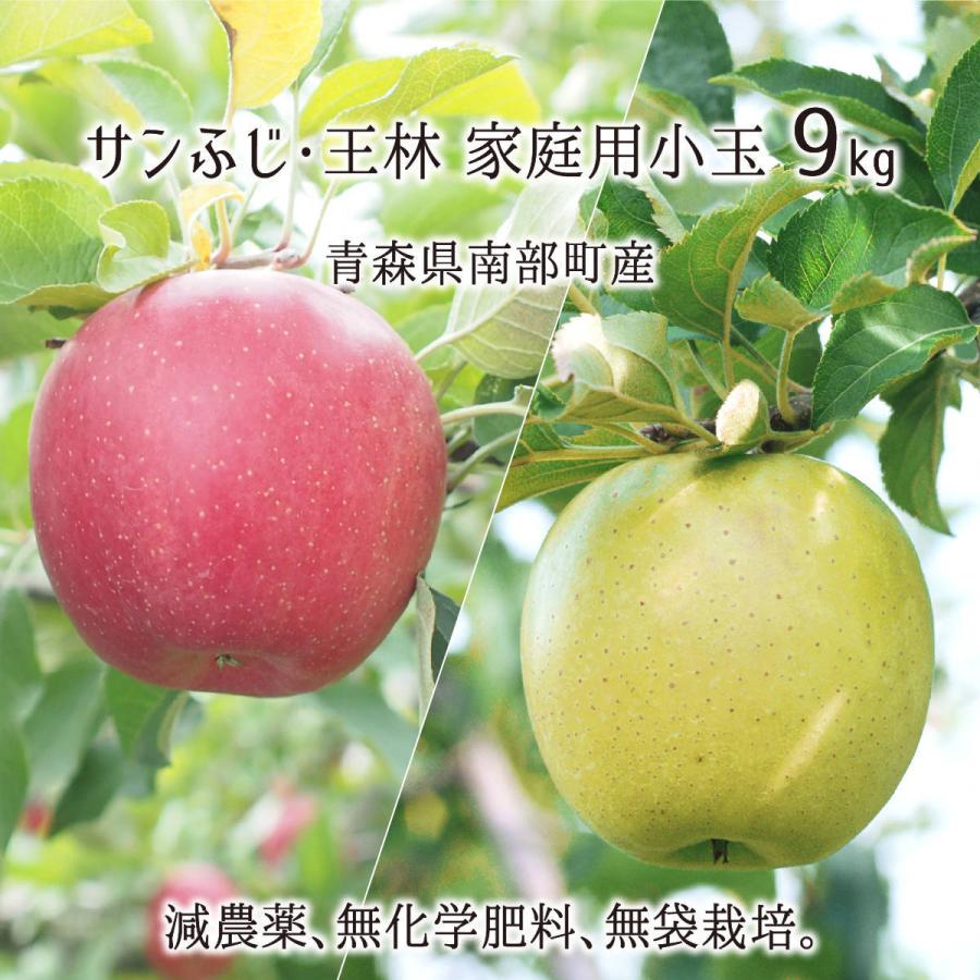 人気のクリスマスアイテムがいっぱい! 青森県産 減農薬 摘果りんご10キロ atak.com.br 人気のクリスマスアイテムがいっぱい! 青森県産 減農薬 摘果りんご10キロ atak.com.br
