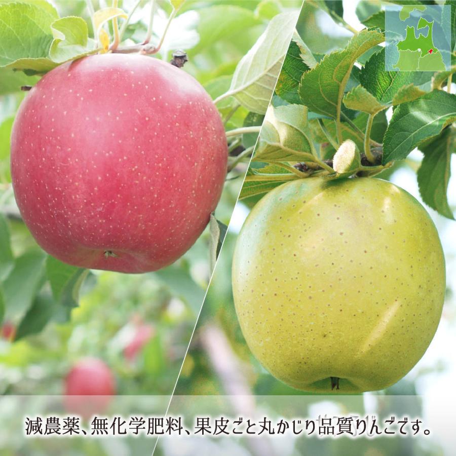 サンふじ/王林 訳あり(小玉) 9kg(サンふじ4.5kg 王林4.5kg) 減農薬 無 