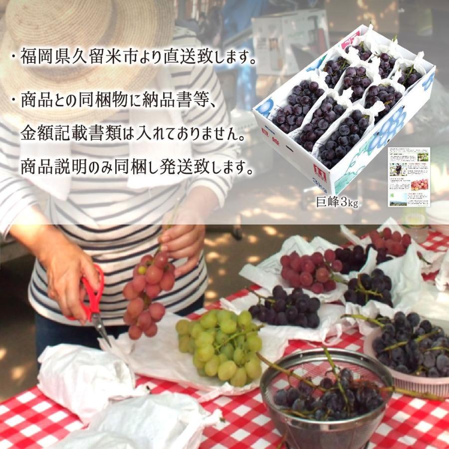 シャインマスカット 秀品 3kg 種あり葡萄 ハウス無農薬 路地8割減農薬