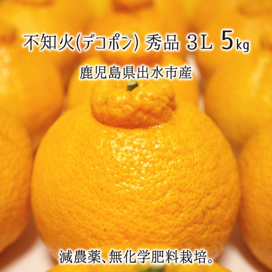 不知火(デコポン) 秀品 3L 5kg 減農薬 無化学肥料 特別栽培 鹿児島県