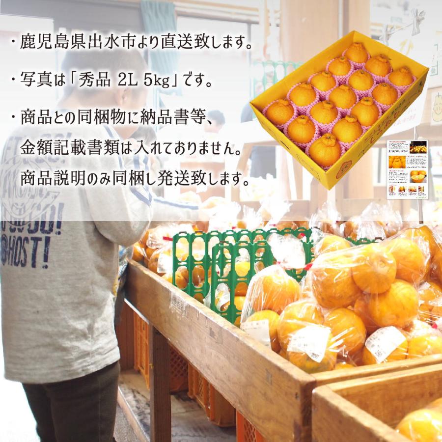 不知火(デコポン) 秀品 3L 5kg 減農薬 無化学肥料 特別栽培 鹿児島県