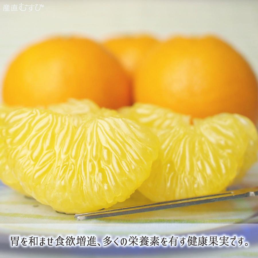 紅甘夏 訳あり サイズ混載 10kg 鹿児島県出水市産 減農薬 無化学肥料