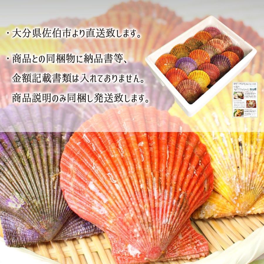 活 ヒオウギ貝 15枚 殻長 7 9cm 重量 90 130g 大分県佐伯市蒲江産 緋扇貝 桧扇貝 天然色 送料無料 代引不可 Oims002 産直 むすび 通販 Yahoo ショッピング