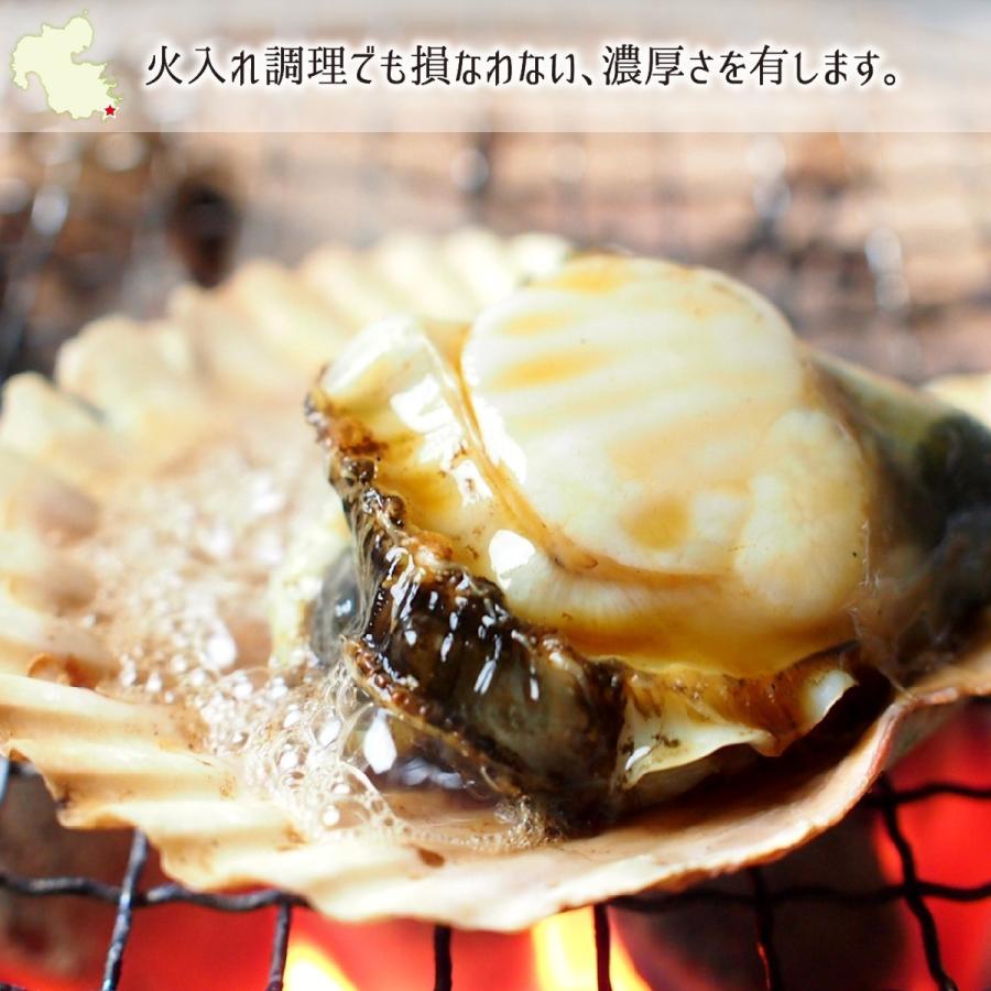 活 ヒオウギ貝 15枚 殻長 7 9cm 重量 90 130g 大分県佐伯市蒲江産 緋扇貝 桧扇貝 天然色 送料無料 代引不可 Oims002 産直 むすび 通販 Yahoo ショッピング