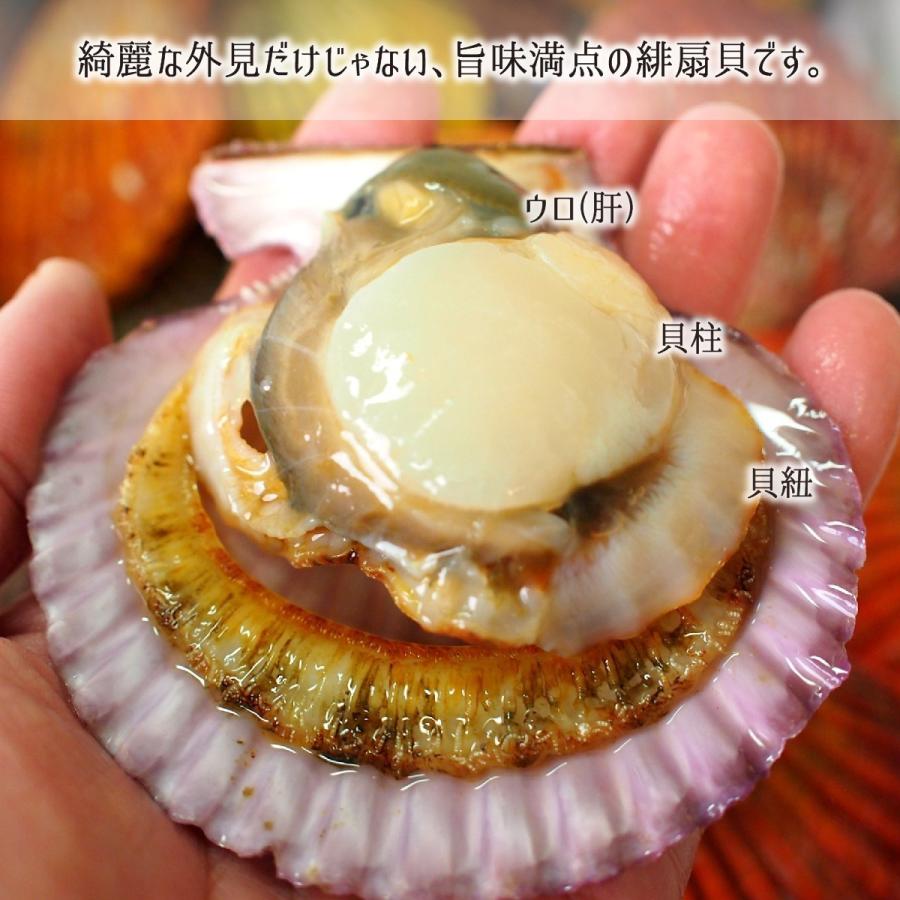 活 ヒオウギ貝 15枚 殻長 7 9cm 重量 90 130g 大分県佐伯市蒲江産 緋扇貝 桧扇貝 天然色 送料無料 代引不可 Oims002 産直 むすび 通販 Yahoo ショッピング