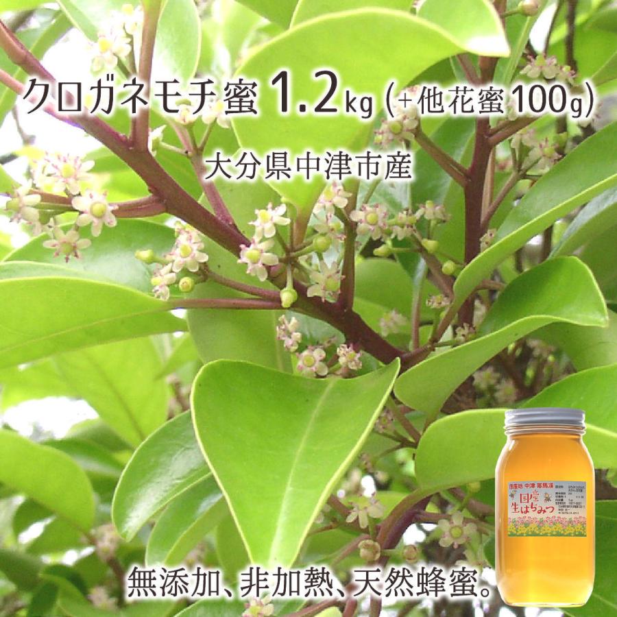 クロガネモチ蜂蜜 糖度80度以上 無添加 非加熱 全原材料国産 天然 純粋蜂蜜 大分県耶馬渓産 22年採蜜 くろがねもち蜜10g 他花蜜100g 試供品 送料無料 Oity021 産直 むすび 通販 Yahoo ショッピング