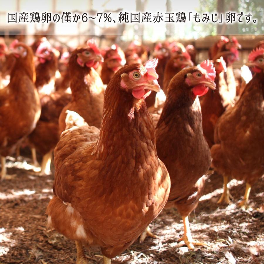 放し飼い卵 30玉 純国産鶏 もみじ 岡山県美作市産 赤玉 天真卵まん 非遺伝子組換 非抗生物質飼料 送料無料 Oydn013 産直 むすび 通販 Yahoo ショッピング