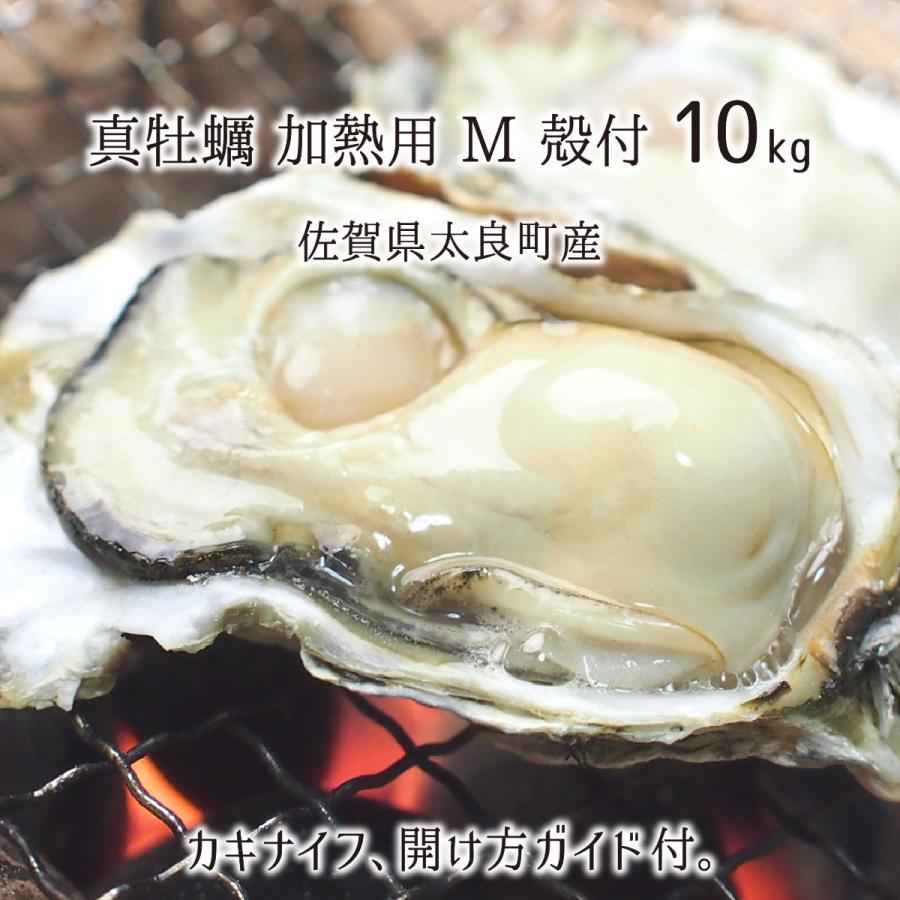 独特な 生食用 7kg ギフト お取り寄せ 生牡蠣 生ガキ プレゼント 三陸漁師 小 宮城 独特な 生食用 7kg ギフト お取り寄せ 生牡蠣 生ガキ プレゼント 三陸漁師 小 宮城