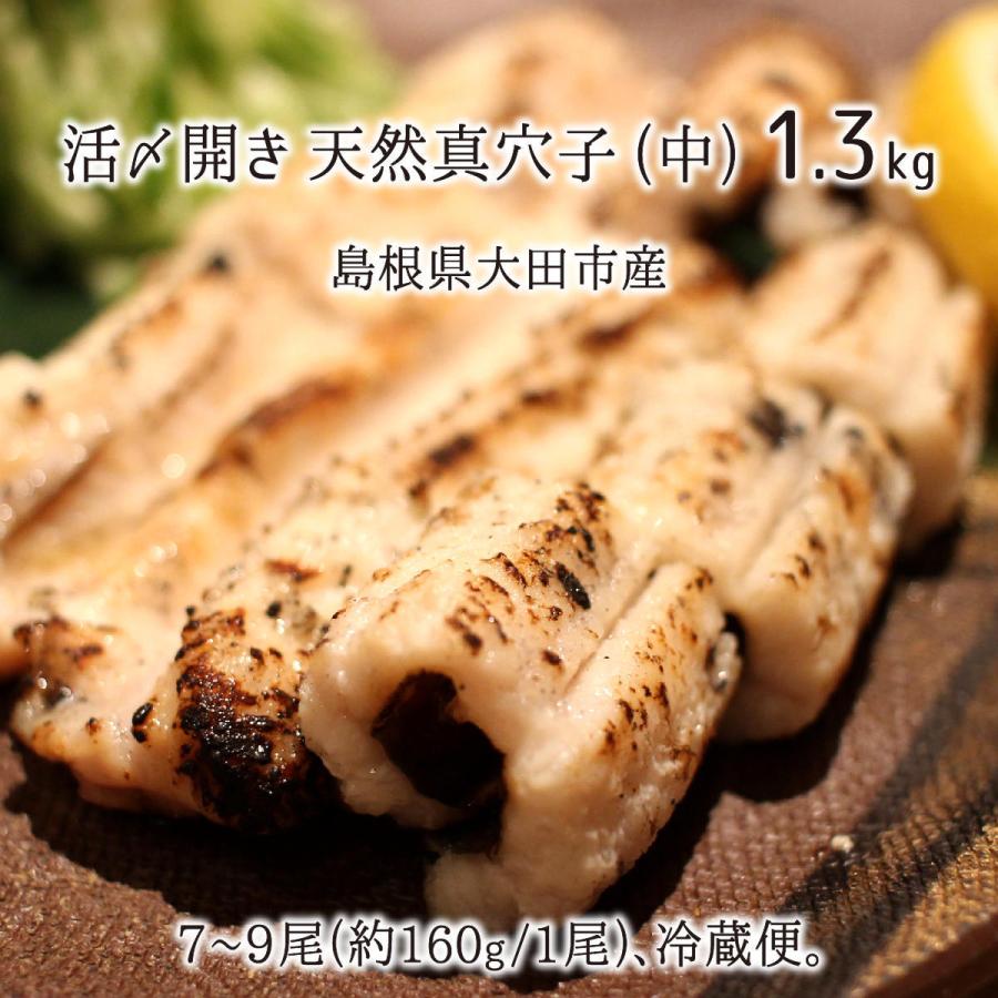 活〆 開き 天然真穴子 中 1 3kg 7 9尾 島根県山陰沖産 生 冷蔵 国産 マアナゴ 白焼き 蒲焼 煮アナゴ 送料無料 Snes018 産直 むすび 通販 Yahoo ショッピング