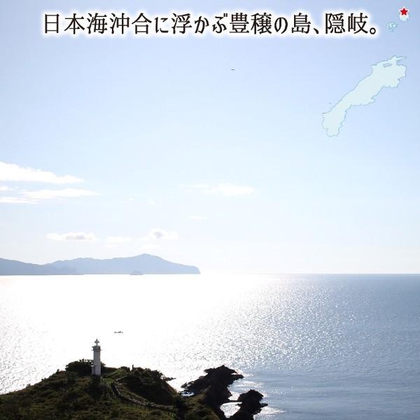 天然 活 隠岐サザエ 指定なし(M/L) 1.5kg 12〜19個 島根県隠岐の島産