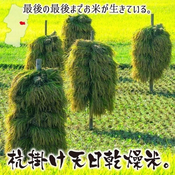 コシヒカリ 5kg 白米 米 お米 有機栽培 天日乾燥 山形県村山産 2020 