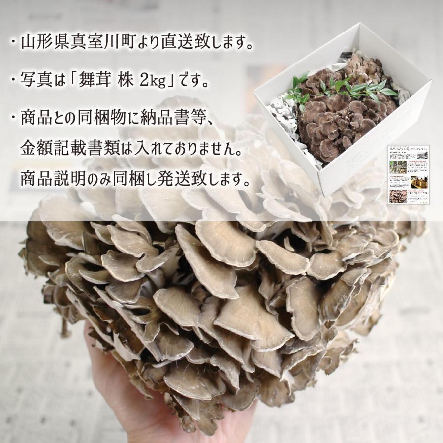 原木舞茸 1kg(1〜3株) 山形県真室川町産 無農薬 無肥料 自然栽培 収穫